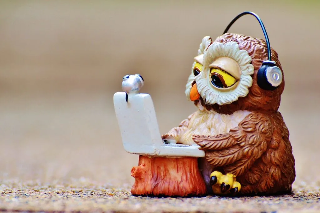 owl, computer, headphones-947768.jpg